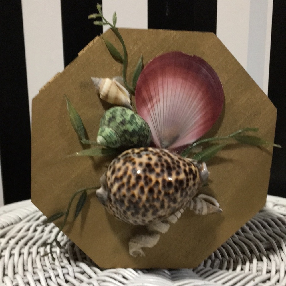 Octagon Shaped Wood Trinket Box With Real Shells on Top Hinged & Latch - Picture 8 of 14